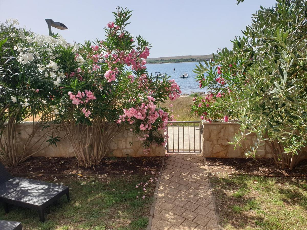 Summertime Apartmani Povljana Exterior photo