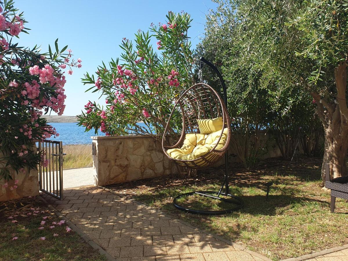 Summertime Apartmani Povljana Exterior photo